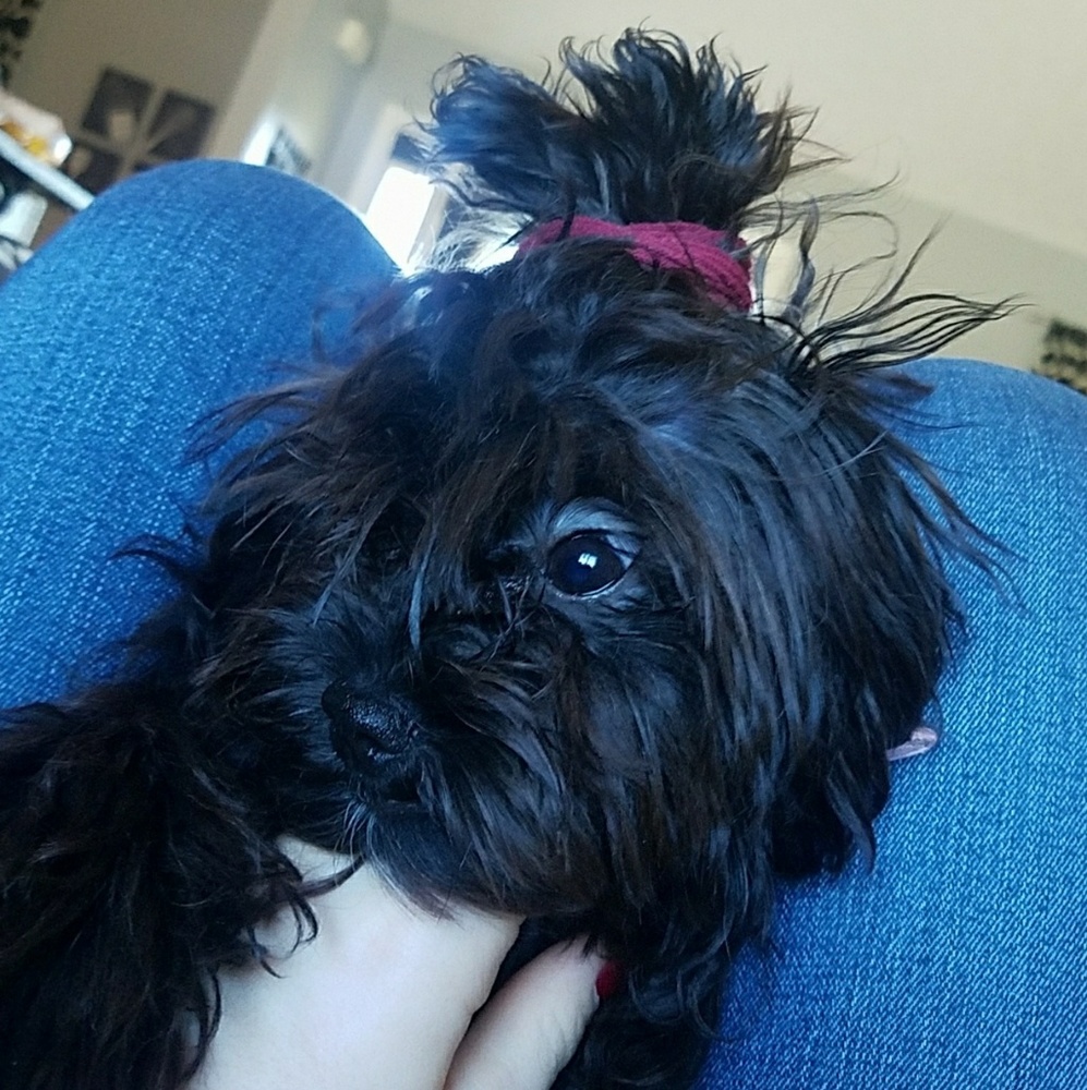 Meet your Posher, Kaleigh